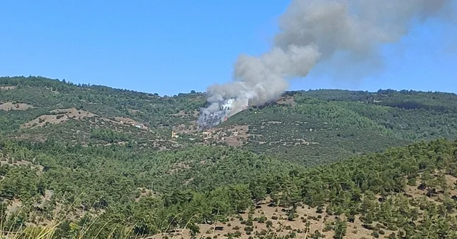 Bursa da çıkan orman yangınına müdahale ediliyor Bursa Haberleri Habertürk Yerel Haberler