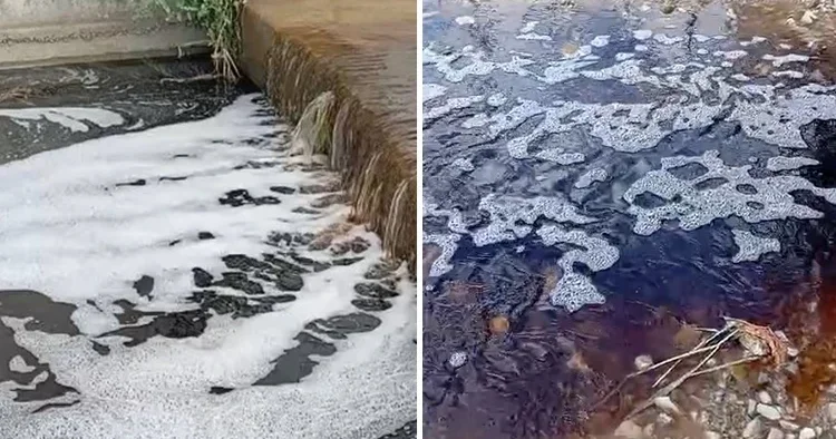 Yalova da deniz yüzeyinde dikkat çeken görüntü
