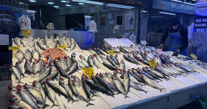 Balıkçı tezgahlarında palamut ilgi görüyor