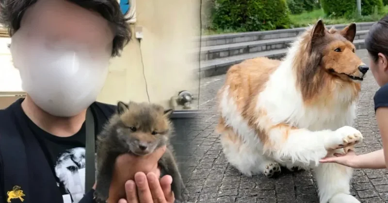 Köpek olmak için server harcamıştı: Yüzünü ilk kez gösterdi Sözcü Gazetesi