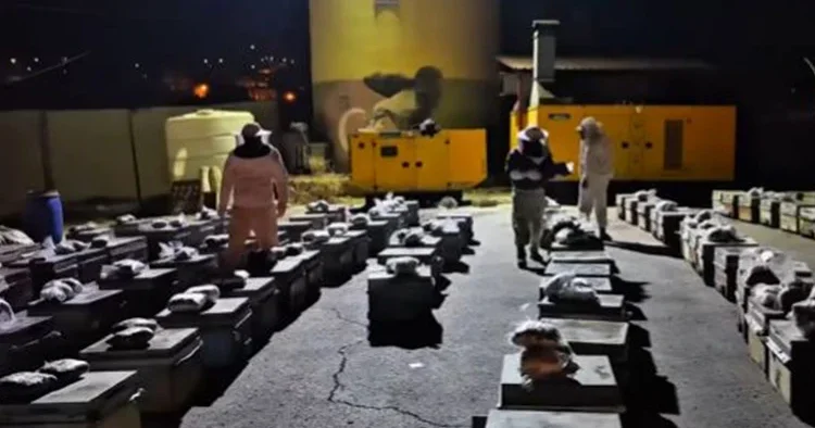 Hakkari de narkotik operasyonu: Arı kovanlarının arasında ele geçirildi
