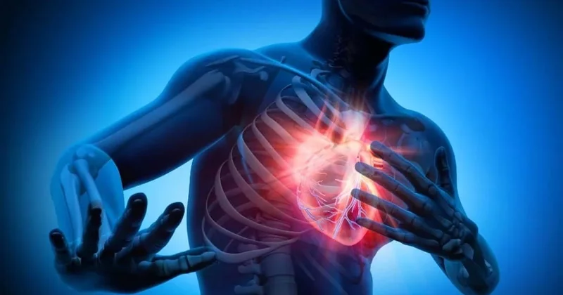 Erkeklerin kalbinin korunmasının kadınlardan daha zor olduğu ortaya çıktı Sözcü Gazetesi