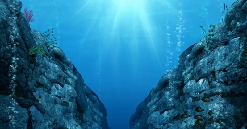 Pasifik te sessiz felaket: Dünya kabuğu parçalanıyor Sözcü Gazetesi