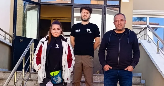 Nallıhan daki mantar çeşitliliği kayıt altına alınıyor Ankara Haberleri