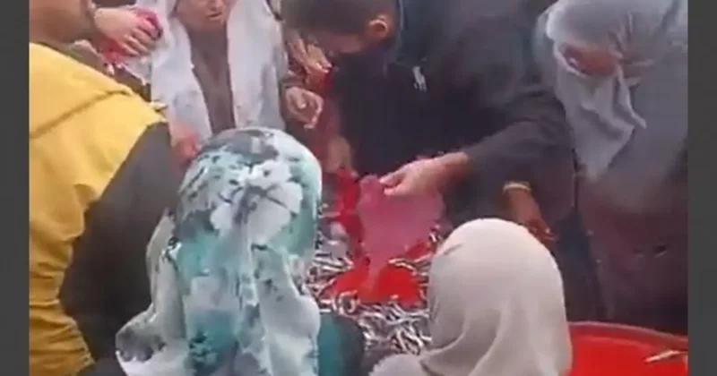 Ücretsiz hamsi dağıtımı yoğun ilgi gördü