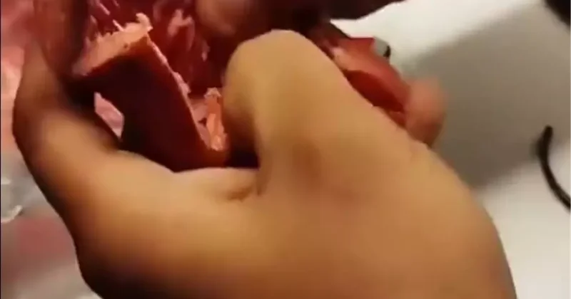 Sucuğun içinden çıkan cisim, ağızları açık bıraktı