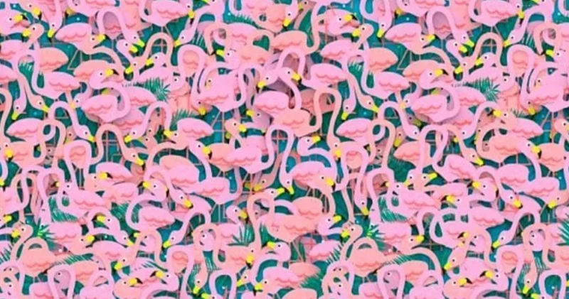 Her 120 kişiden sadece 3 ü çözebildi! Resimde saklı balerini sadece gerçek dahiler 5 saniyede buluyor