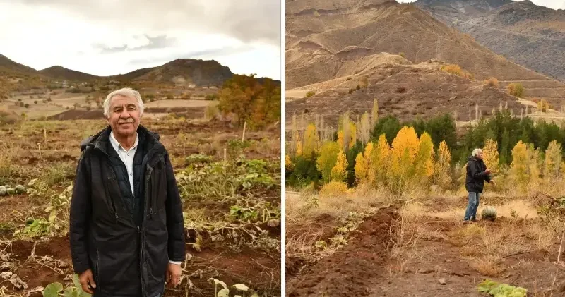 Giresun da emekli banka müdürü 16 dönüm arazide Antep fıstığı bahçesi kurdu Aktüel Haberleri