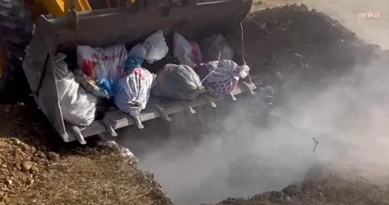 Hakkari de hayvan katliamı: Yüzlerce hayvan canlı canlı gömüldü