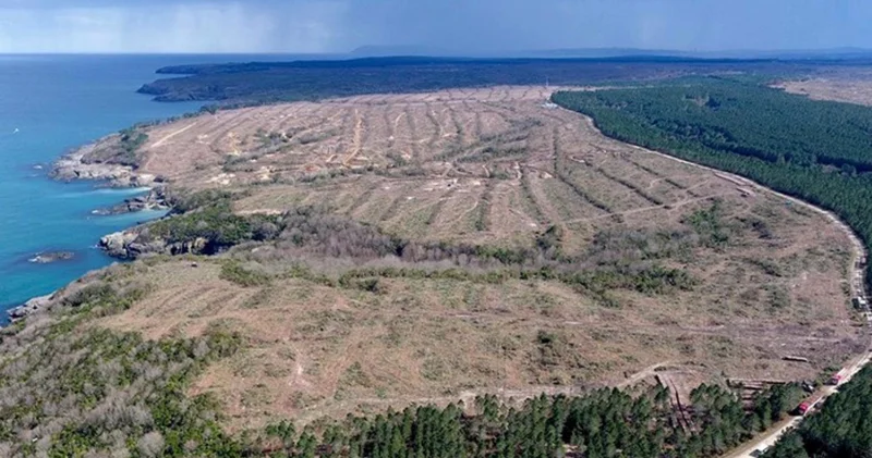 Sinop NGS plan değişikliği davası: Danıştay, ÇED kararını bekleyecek