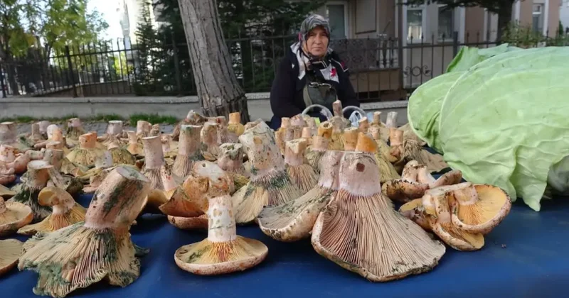 Kütahya da Melki bereketi