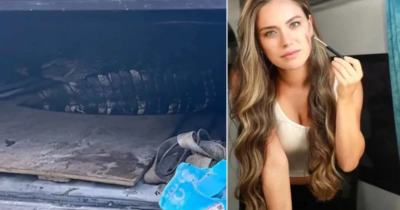 Oyuncu Ceyda Ateş in oturduğu sitede timsah yakalandı