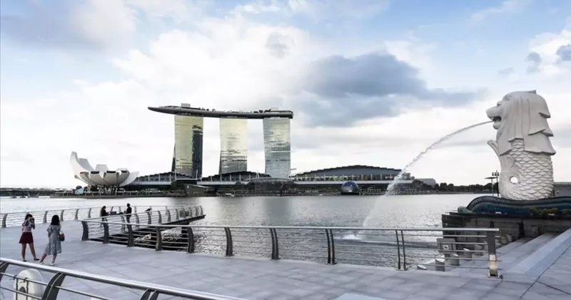 Singapur’da dolandırıcılara kırbaç cezası! Mecliste kabul edildi