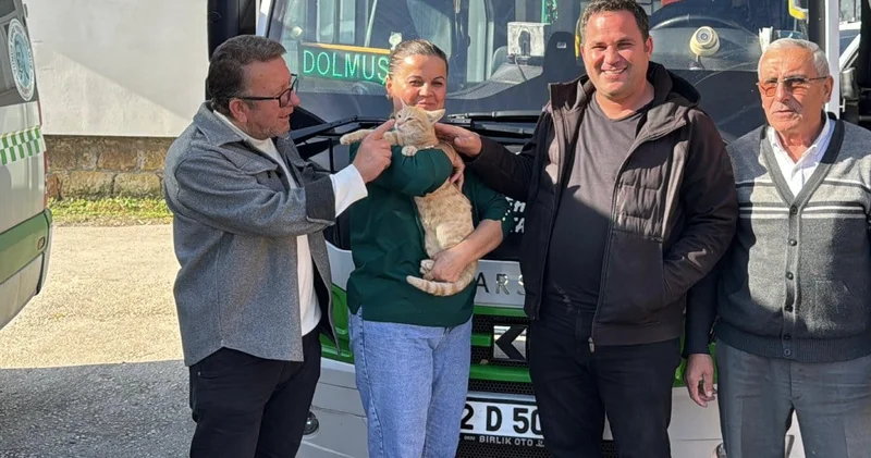 Dolmuş şoförleri kedi için seferber oldu! Ameliyat masrafını karşıladılar bakın ismini ne koydular