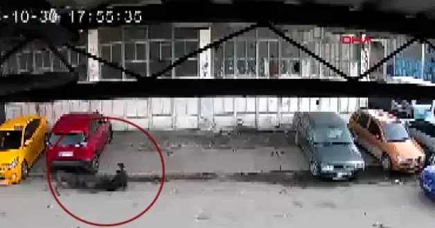 Köpeğin saldırısına uğrayan çocuğu babası kurtardı!