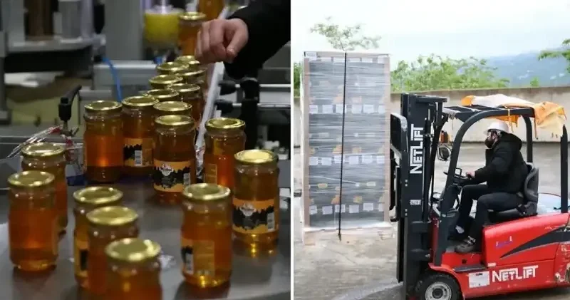 Ordu dan İngiltere ye 8,8 ton bal ihraç edildi Gündem Haberleri