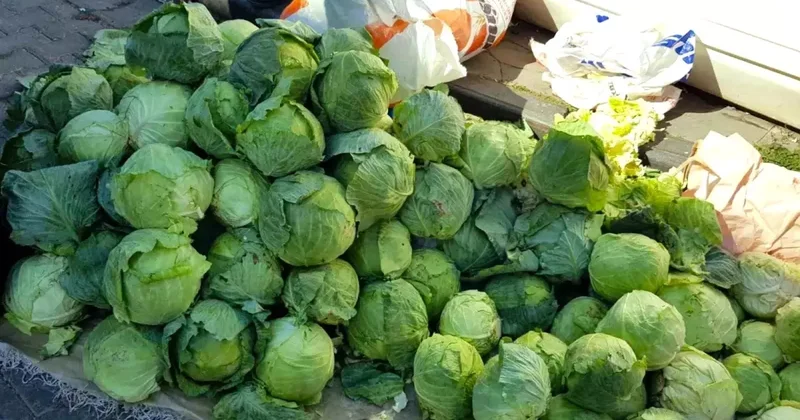 Alucra da Hırsızlık Korkusu: Üreticiler Nöbet Tutuyor