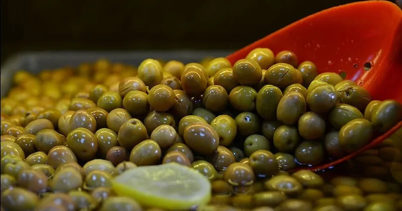 Marmarabirlik 2025 2026 zeytin alım fiyatlarını açıkladı Sözcü Gazetesi