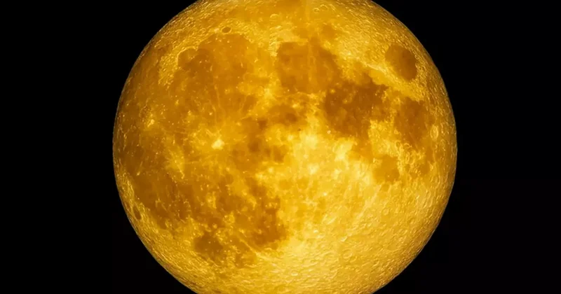 Türkiye de 2019 dan bu yana bir ilk gerçekleşecek! 5 Kasım da başlıyor