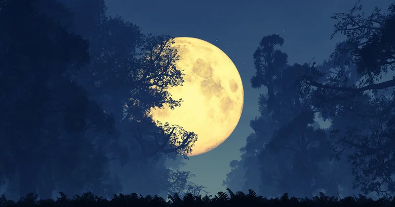 Yılın en parlak ve en büyük Dolunay ı 5 Kasım gecesi gökyüzünde