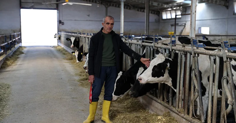 20 inekle başladı, günlük 1 ton süt üretir hale geldi