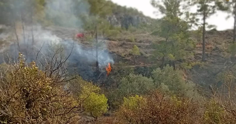 Yaşlı adamın trajik ölümü: Bahçesini temizlerken yangında hayatını kaybetti!