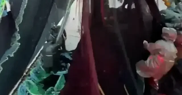 Balıkçılar hamsi ve sardalya bereketiyle limana döndü VİDEO İZLE