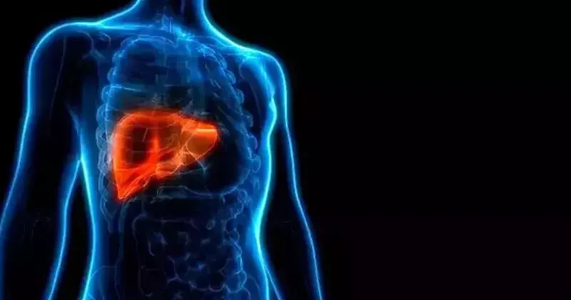 Türkiye’de her gün 10 kişi, organ bulunamadığı için hayatını kaybediyor