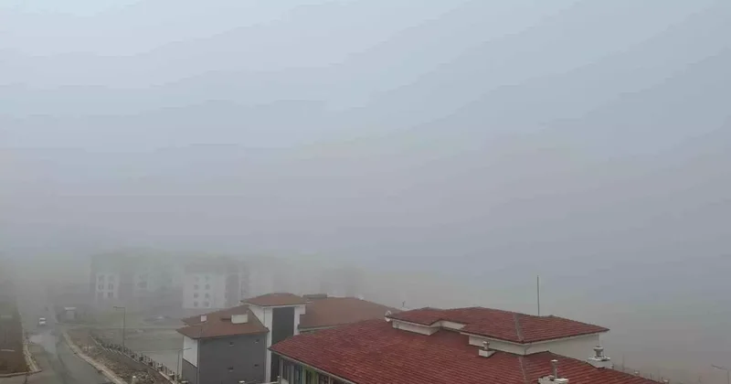 Elazığ’da yoğun sis