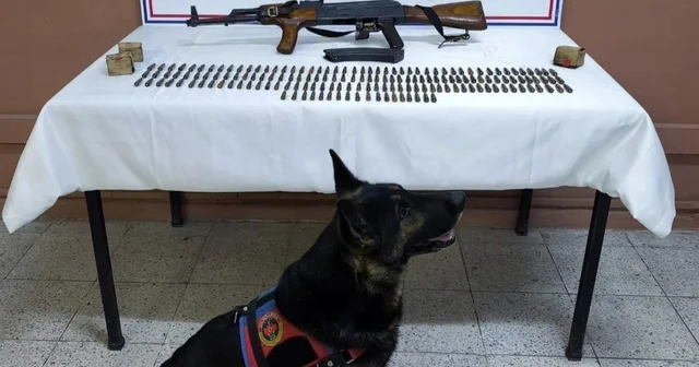 Iğdır da silah kaçakçılığı operasyonu: Kalaşnikof tüfeği ve 264 fişek ele geçirildi Iğdır Haberleri