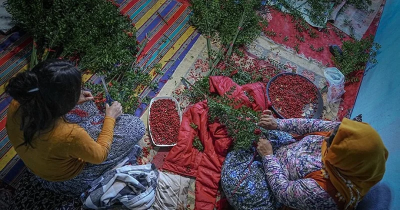 Sadece Aralık’ta ortaya çıkıyor: Alanı ev sahibi yapıyor Sözcü Gazetesi