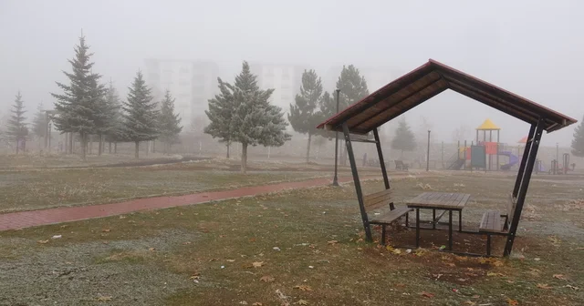 Bitlis te sis etkili oldu Bitlis Haberleri