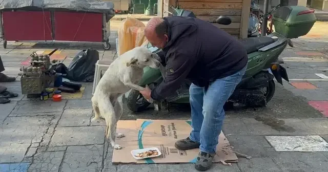 Zonguldak’ta engelleri aşan hikaye: Ön bacağı kesilen köpeğine bebek gibi bakıyor VİDEO İZLE
