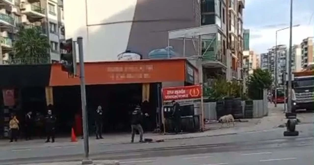 Sürücüsünün geri manevra yaptığı kamyonetin çarptığı Nisanur, öldü İzmir Haberleri