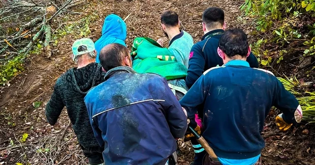 Ağaç keserken yaralanan işçi için seferber oldular Kastamonu Haberleri