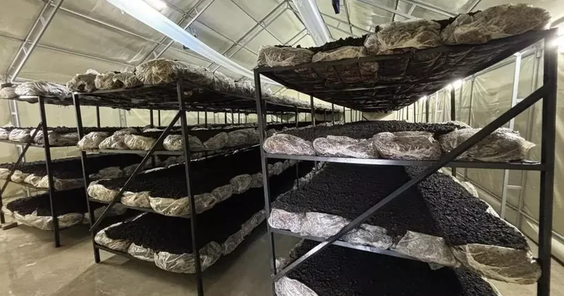 İlçenin ekonomisine yeni soluk