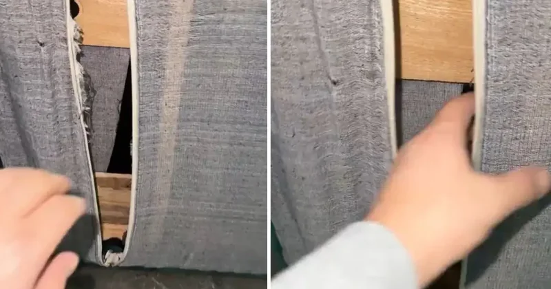 İçerisinden ses gelen koltuğun bezini kesince dondu kaldı: Hayatımın şokunu yaşıyorum