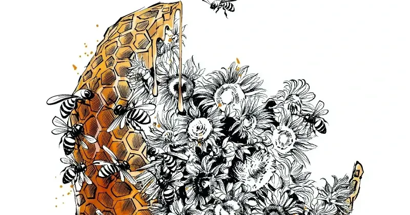 İslam düşüncesinin gelişiminde şerh ve haşiye geleneği Düşünce Günlüğü Haberleri