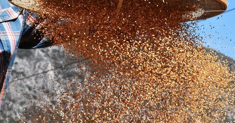 Her gün yiyoruz meğer sağlığa zararlıymış Sözcü Gazetesi