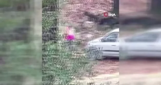 Ormanda kadını döven şahıs kaçamadan yakalandı