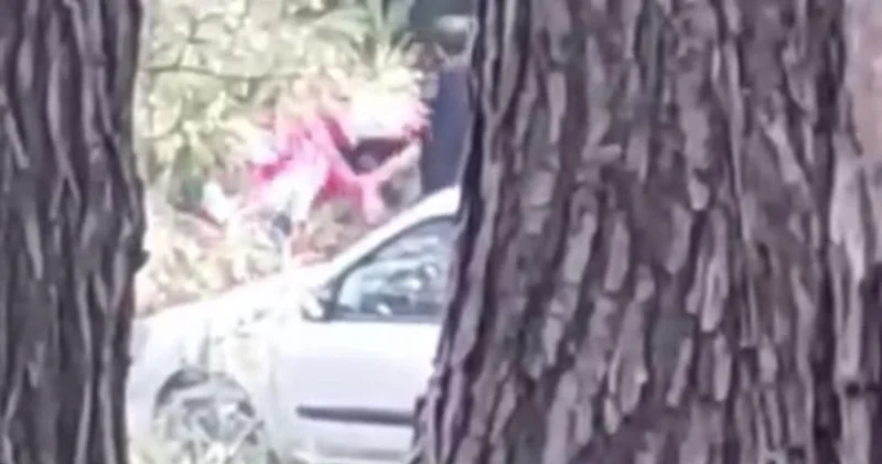 İzmir haberleri: Ormanlık alanda kadına darp kamerada SON DAKİKA HABER Son dakika haberleri