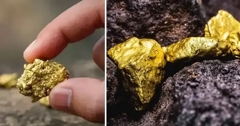 Dudak uçuklatan altın keşfi: 61 milyon tonluk rezerv bulundu Dünya Haberleri