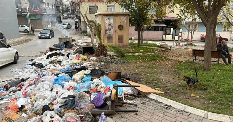 Maltepe den sonra şimdi de o ilçe! CHP li belediyelerde çöp dağları, kötü koku, çirkin manzara