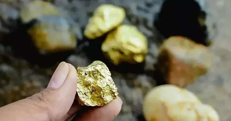 Kanadalı şirketten alındı, beklenenin 3 katı altın çıktı! Gözler Sarıkaya da