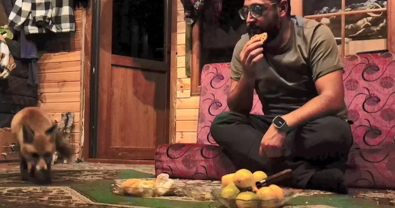 Sinco’dan sonra şimdi de Tilko! Camdan girdi evin maskotu oldu