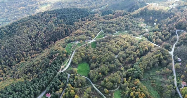 Düzce ormanlarında renk cümbüşü yaşanıyor Düzce Haberleri