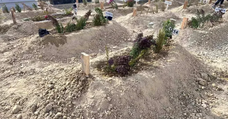 Mersin de Anne ve Oğul Cinayeti