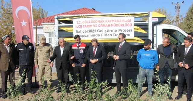 Çiftçilere 4 bin zeytin fidanı dağıtıldı Şırnak Haberleri