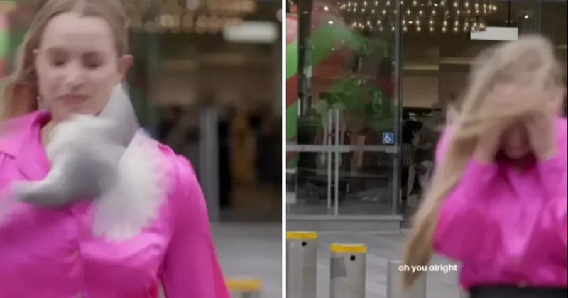 Canlı yayında martı saldırısına uğrayan kadın muhabir kanlar içinde kaldı