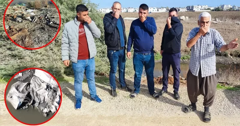 Koca bir ilçe kokudan yerinde duramıyor! Hepsini vatandaşa yedirmişler